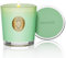 M&SENSE Duftkerzen im Glas Verbena,290g Candle Duftkerze Natürliche Soja-Kerze,Bunte Kerzengeschenke für Frauen & Männer,Aromatherapie Kerze zur Entspannung,10.2 oz 55 Stunden Brenndauer
