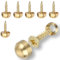 8 Sets Mirror Screws, 12mm Gold Brass Screws with Chrome Cap Washers, Brass Decorative Screw with Caps for Furniture Fixing(Mirror, Photo Frame Fixing etc)