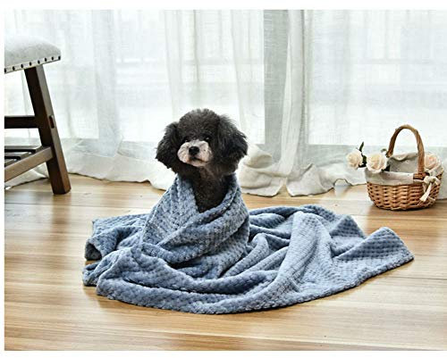 Weiche, warme Haustier-Bettdecke für Hunde und Katzen, gemütliches Fleece-Handtuch für Haustiere, Schlafruhe, Welpen, Kätzchen, Bettdecke, Badetuch, Decke für Herbst und Winter, Blau, Größe L, 100 x