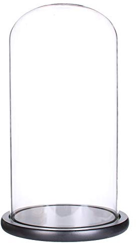 Siyaglass Glasglocke mit schwarzem Holzsockel (15 x 35 cm)