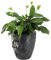 KADAX Pot de Fleurs Haut, Jardinière en Plastique de Grande Taille avec Motif Moderne pour Sublimer Votre Intérieur ou Extérieur, Bac à Fleur (Anthracite, 42 cm)