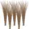 Agrarflora Bambusbesen Spar Set - Stallbesen aus Bambusreisig - Reisigbesen mit Kunststoff-Stielaufnahme - Strauchbesen, Hexenbesen, Reiserbesen - Kehrbesen für Haus & Garten - 5 Stück