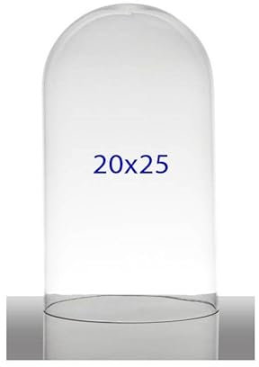 Chianese Campana Cupola in Vetro 20x25 cm | Teca Espositiva Trasparente | Campana di Vetro Grande per Decorazioni Centrotavola ed Esposizioni Eleganti