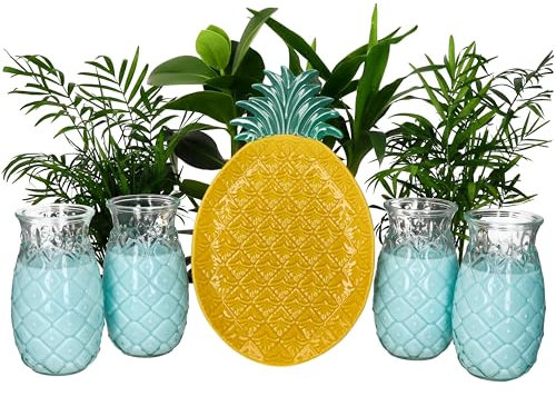 MamboCat Set de fête Pina 5 pièces - 4 verres de 400 ml avec 1 assiette ananas - Pour 4 personnes - Verre à cocktail transparent et assiette colorée avec relief ananas - Barbecue d'été