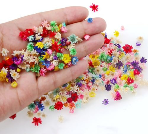 Caelura 50 Trockenblumen zum Basteln,Trockenblumen Klein,Getrocknete Blumen, Mini-Naturblumen für DIY Nagel, Epoxid, Kerze, Scrapbooking(Bunt)