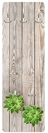 Bilderwelten Garderobe - Sukkulente, Größe HxB:105cm x 34cm