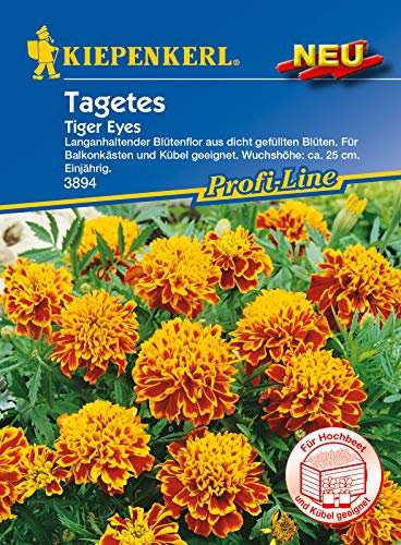 Kiepenkerl 3894 Studentenblume Tiger Eyes (Studentenblumensamen)