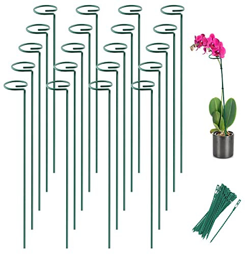 Joyhalo 20 Stück Pflanzenpfähle, 40,6 cm Pflanzenstützpfähle, Blumenstecker mit 24 Bindebändern, Gartenstäbe für Pflanzen, Hibiskus, Sonnenblume, Red Hot Poker, Hortensien, Tomaten, Sapling usw