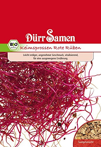 Dürr Samen 4180 Keimsprossen Rote Rübe (Bio-Keimsprossen)