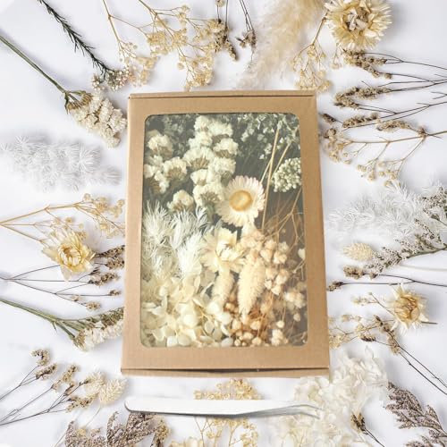 Flores Secas Naturales, Flores Secas Premium para Manualidades, Pinzas Auténticas para Regalos, Hecho De Flores Reales, con Pinzas, para Artificiales Preservadas para Bricolaje