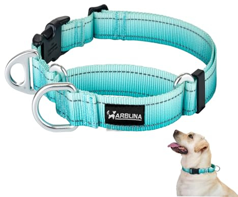Arblina Martingale Halsband, Reflektierendes Zugstopp Halsband Hunde für Große Mittlere und Kleine Hunde, Nylon Hundehalsband Anti Zug, Anti-Pull Collar for Dogs, Türkis, L
