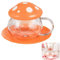Cute Mushroom Glass Tea Cup with Infuser and Spoon, Clear Kawaii Teapot with Strainer Filter, Ceramic Lid and Coaster, Heat-Resistant for Home and Office Use, 290ML/9.6oz (Orange)