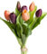 Botanic-Haus künstliches Tulpenbündel/künstlicher Tulpenbund Sandy mit 4 Tulpen und 3 Tulpenknospen Farbe: lachs-aubergine real Touch