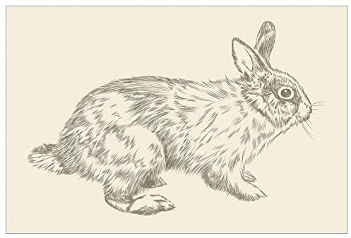Wallario Küchenrückwand selbstklebend 90 x 60 cm, Motiv: Hase als illustrierte Bleistiftzeichnung | Spritzschutz abwischbar & pflegeleicht