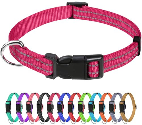 TagMe Reflective Nylon Dog Collars, Adjustable Classic Pet Collar with Quick Release Buckle for Puppy, Pink, 1.0 cm Width