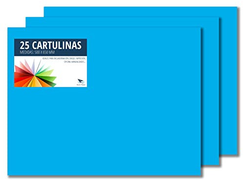 RAYLU PAPER – Tonpapier 50 x 65 cm, 25 Stück Kartonpapier 180g/m², 210 x 297 mm, professionelle farbige Kartons für Büro, Kopierpapier, Buntes Papier zum Basteln (Maldives-Blau)