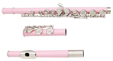 Cupronickel C Tone 16 Geschlossene Löcher Bandflöte Für Anfänger Querflöte Anfänger (Color : Pink)
