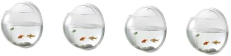 BESPORTBLE 4pcs Live Aquarium Wall Bowl Wall-mounted Betta Tank Sturdy Acrylic Easy to Set up Maximize Space Aquarium Supplies Random Color