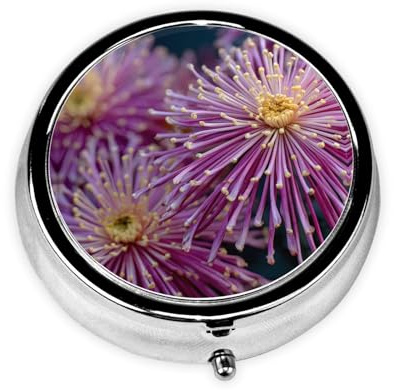 1 pc Small Pill Box 3 Compartment Portable Pill Case for Pocket Purse Pill Organizer Container Holder to Hold Vitamins Medication Fish Oil Supplements (Chrysanthemums)