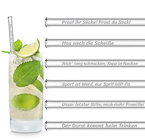 HALM Glasstrohhalme Sauf Sprüche Edition 6x 20cm mit gravierten Trinksprüchen in Deutsch Strohhalm Trinkhalm Glasstrohalm Gin-Tonic Geschenk