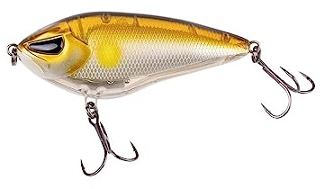 ZECK - Hardbait, Kunstköder, Jerkbait - Rogue Glider 10 cm | 1 m S - Ayu