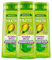 Garnier Fructis Hydra Locken Shampoo zur Definition von welligen bis lockigen Haaren mit Pistazienöl, Anti-Frizz-Wirkung, 96H, belebt und erweicht, 3 Flaschen à 250 ml