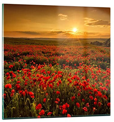 Bilder auf Glas Mohn Blume Wiese Glasbild 30x30cm Wandbilder Dekoration Wohnzimmer Schlafzimmer Küche Deko Klein Wanddeko Bild im Glas Wand Kunstdruck Art Modern Wall Decor Glasdruck GAC30x30-3643
