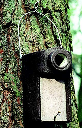 Naturschutzprodukt Star Nistkasten Satz 2 Stück Nisthöhle Starenhöhle Typ 3SV Flugloch Durchmesser 45 mm mit Marderschutz aus Holzbeton Höhe 28 cm