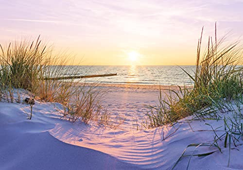 wandmotiv24 Fototapete Strandzugang Meer Sonne, L 300 x 210 cm - 6 Teile, Wanddeko, Wandbild, Wandtapete, Sand Ostsee Nordsee Gras Strand M6745