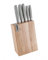 BRANDANI Ceppo Natural in Legno con 5 Coltelli e Affila Coltelli