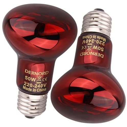 DERNORD Reptilien Rotlichtlampe Birne - 50 Watt R63 Infrarotlampe für Urzeitkrebse Schildkröten Vogelspinne Terrarium Rotlichtlampe Wärmelampe Tiere 2 Pack