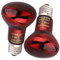 DERNORD Reptilien Rotlichtlampe Birne - 50 Watt R63 Infrarotlampe für Urzeitkrebse Schildkröten Vogelspinne Terrarium Rotlichtlampe Wärmelampe Tiere 2 Pack