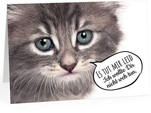 Große XXL (A4) Klappkarte mit Umschlag/Katze sagt Es tut mir leid/Sorry/Entschuldigung/Verzeih mir/Entschuldigen