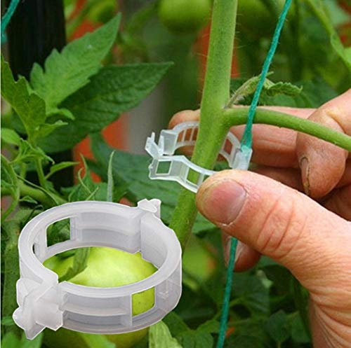 Pflanzenclips aus Kunststoff zum Aufhängen Weinrebe Clips Tomaten Pfeffer Ranken Pflanzen und Blumen 200 Stück