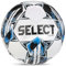 Select Team FIFA Basic V23 Ball Team WHT-BLK, Womens,Mens Footballs, White, 5 EU
