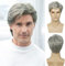 Herrenperücke kurz silber grau Perücke synthetisch hitzebeständig natürliche Halloween Cosplay Haar Perücke