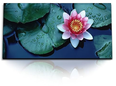 Paul Sinus Kunstdruck Bilder 120x60cm Lotusblume Lotus Wasserblume Teich Rosa Blüte