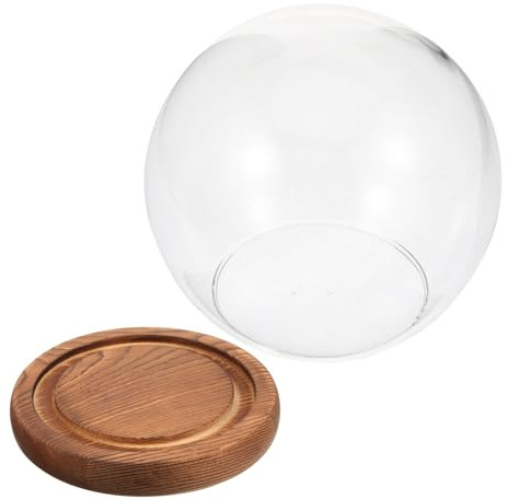 Homoyoyo Glaskuppel Terrarium mit Holzsockel Kugelform für Konservierte Blumen Staubdichte Glasglocke Mikro-Landschaft Vase Dekorativer Cloche Dome für Tischdeko