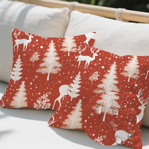Outdoor Kissen 35x35 cm 2er Set Kissenbezug Weihnachten Kissen Deko Kissenbezüge Atmungsaktiv Wetterfest, Sofakissen Samtstoff Kissenhülle Winter Outdoorkissen für Garten Balkon Deko Geschenke e534