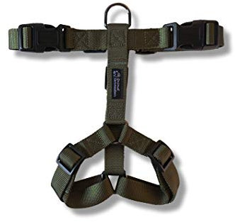 Animal Connection Pettorina ad H per Cani. 5 Punti di Regolazione. Disponibile in 5 Colori. Leggera e Resistente. (XS, Verde)