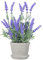 Artificial Lavender in Pot Lifelike Fake Lavender Plant for Wedding Home Garden Bedroom Outdoor Decor Purple