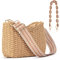 Herald Bolso cruzado de paja pequeño hecho a mano para mujer, bolso de hombro tejido elegante de verano con cadena y correa de guitarra, Café