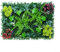 Vilgftyiet Panel de césped simulado de 40 x 60 cm, decoración de pared de césped sintético, tapete de planta para hogar, oficina, cafetería, hotel, paisajismo interior y exterior, decoración verde (3)