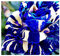 Adenium obesum Rare Blue - Wüstenrose - 3 Samen