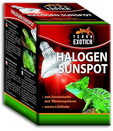Terra Exotica Halogen Sunspot - Halogen Sun Spot für Ihr Terrarium - Spotstrahler/Wärmestrahler für Reptilien (100 Watt)