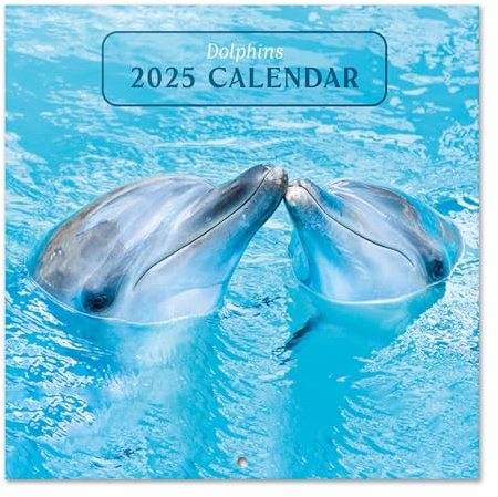 Grupo Erik Kalender 2025 Wandkalender 2025 Delphine Kalender 2025 Familienplaner 30 x 30 cm Jahreskalender Familienkalender 2025 12 Monate