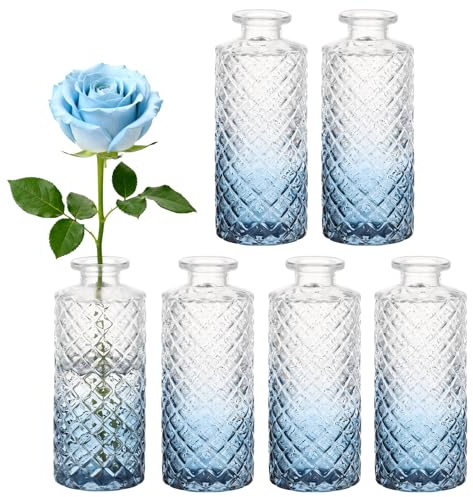 Segus Petit Vase Deco Table, 6 Pièces Petit Vase en Verre Set, Moderne, pour Centre de Table Mariage, Maison, Chambre, Bureau (Dégradé de Bleu)