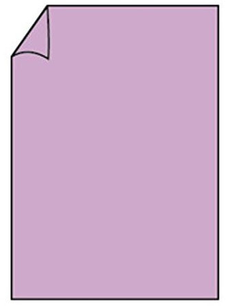 Paperado Karton 100 g/m² A4 Papier – Orchidee (10 Stück)