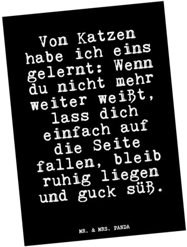 Mr. & Mrs. Panda Postkarte Von Katzen habe ich... - Geschenk, Glizer Spruch Sprüche Weisheiten Zitate Lustig Weisheit Worte, bildkarte, einzelkarte, Grußkarte, frustiert, süß, Ansichtskarten, miez