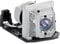 Aimdio SP.8EG01GC01 Beamer Ersatzlampe für Optoma VDHDNZ VDHDNG DH1010 EH1020 EW615 EX612i EX615i GT750E HD20 HD20-LV HD22 HD180 HD200X HD2200 HT1081 TH1020 TW615-3D TX612 TX615 DAEWLGUI DAEWUSUST